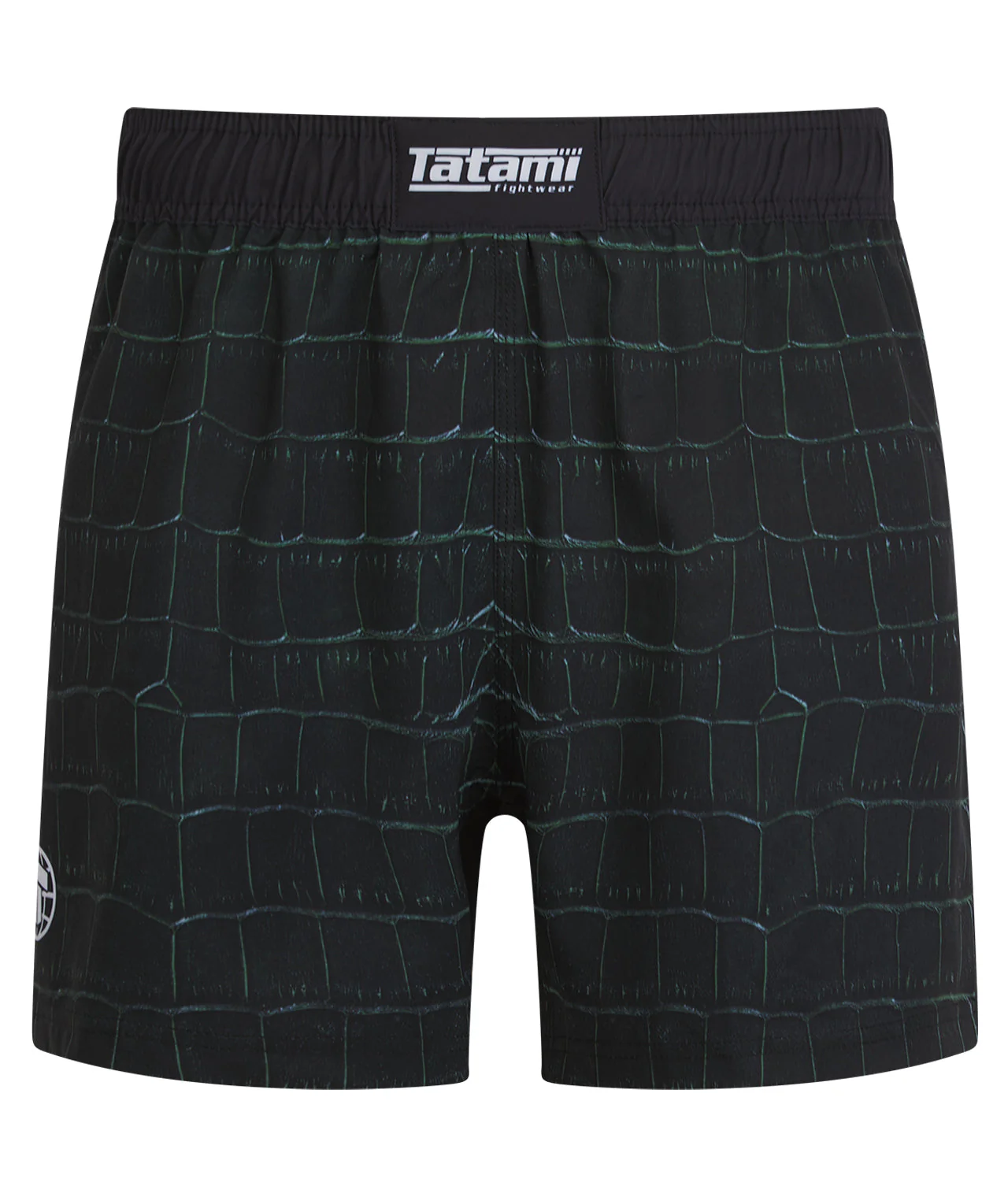 High Split MMA Shorts - Crocodile - Image 2