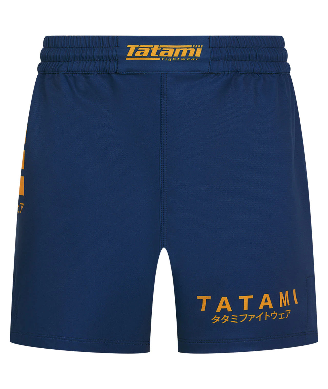 Katakana V2 High Cut Shorts - Blue