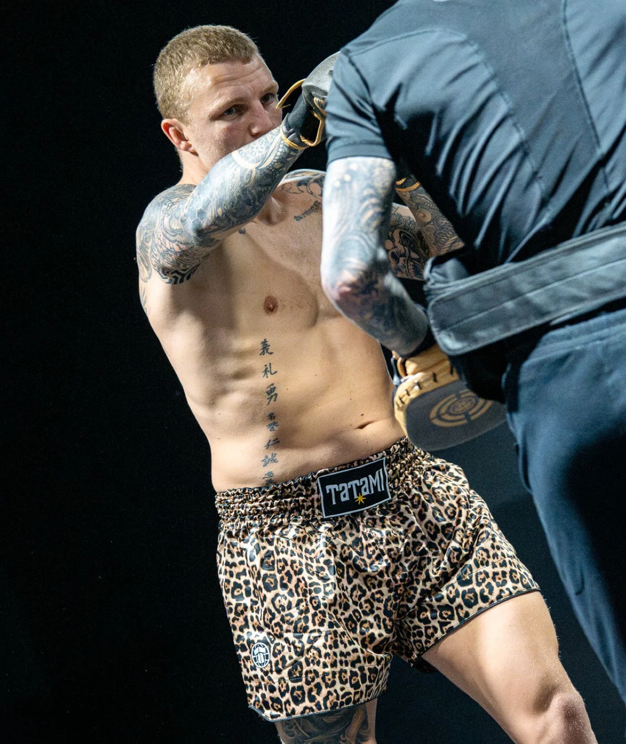Muay Thai Shorts - Leopard - Image 2