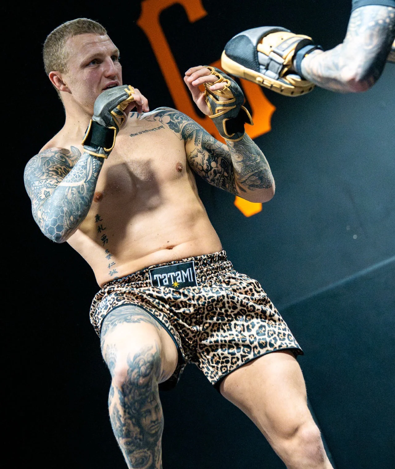 Muay Thai Shorts - Leopard - Image 6
