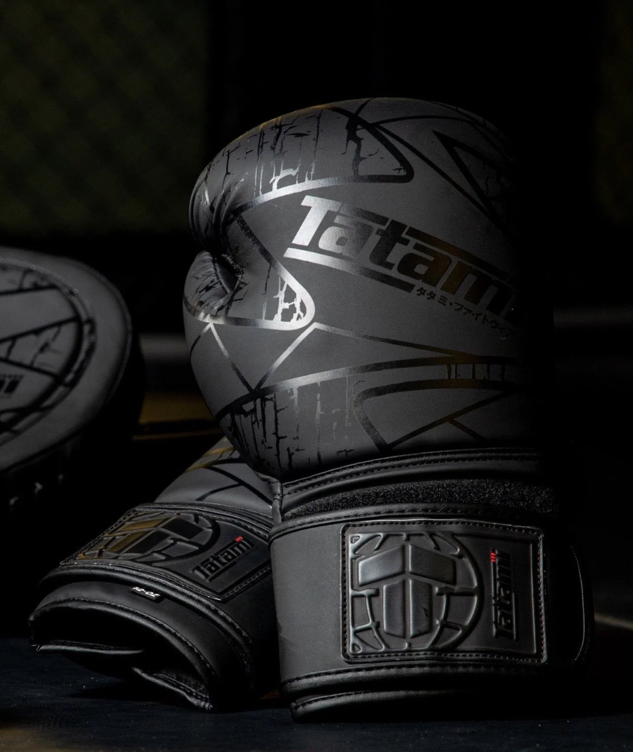 Obsidian Boxing Gloves - Image 2