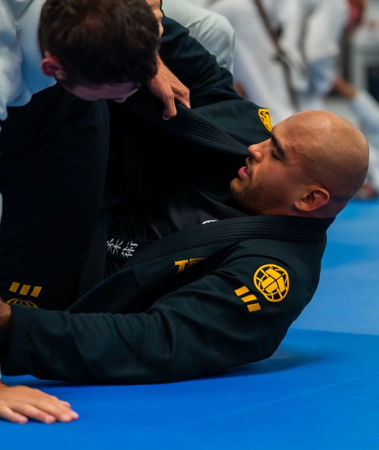 Pro Series Gi - Black & Champion Gold - Image 8