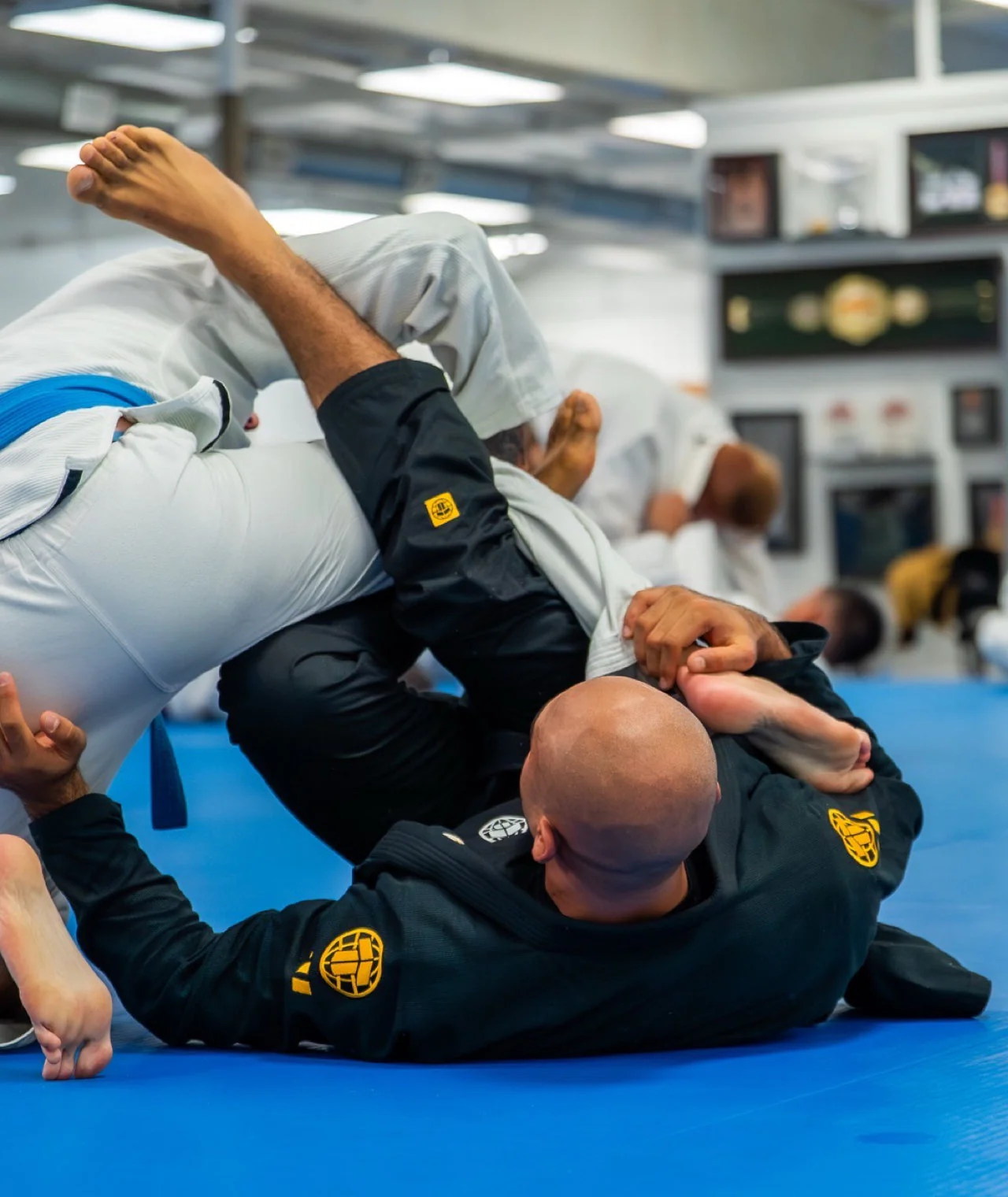 Pro Series Gi - Black & Champion Gold - Image 9