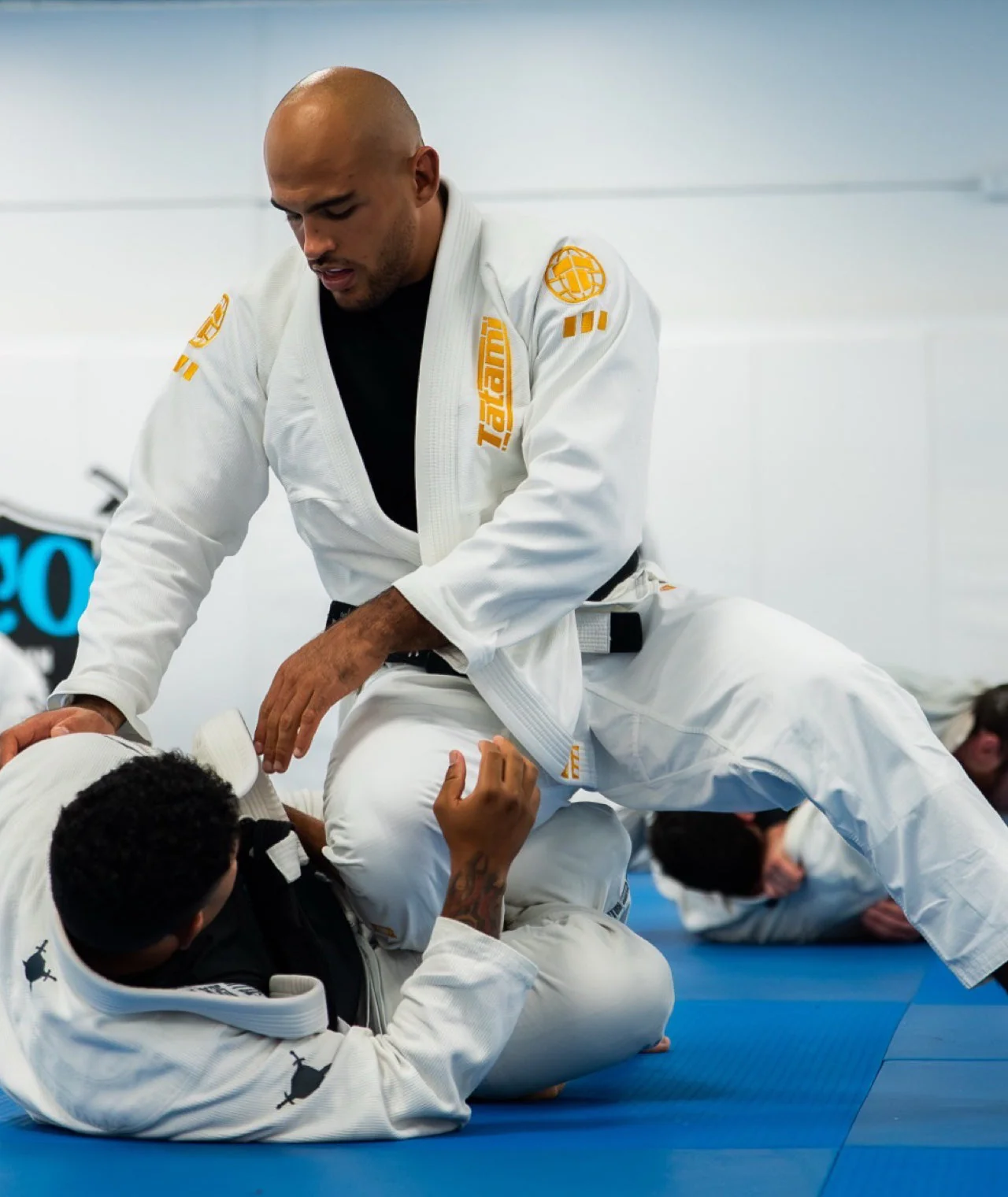 Pro Series Gi - White & Champion Gold - Image 7